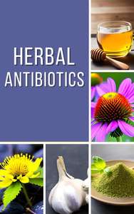 Herbal Antibiotics: A Comprehensive Guide to Natural Alternatives to Antibiotics Kindle Edition