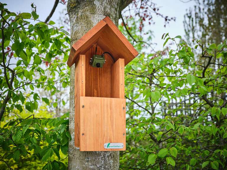 Green Feathers bird box cameras 25% off (+ possible 10% for new customers) - e.g. 3rd Gen WiFi camera £111.75 @ Green Feathers