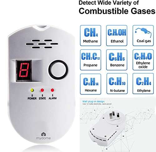 Natural Gas Alarm With A Loud Alarm & Digital Display