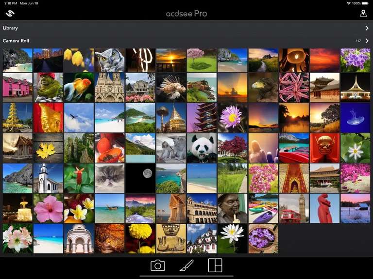 ACDSee Pro (professional grade camera and photo editor) - FREE @ IOS App Store