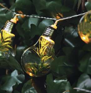 The Outdoor Living Collection 10 Plastic LED Bulb String Lights with Foliage £2.99 instore @ Home Bargains, Sheffield