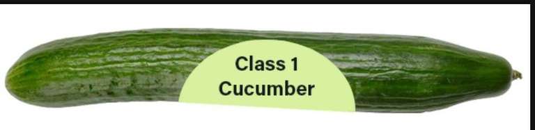 Whole Class 1 Cucumber 49p @ Farmfoods
