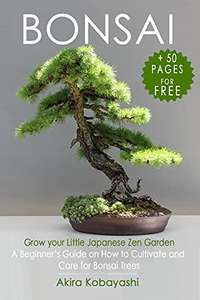 30+ Free Kindle eBook: Bonsai, Cupcake & Muffin Recipes, All countries, capitals & flags, Meditation & Mindfulness, ChatGPT & More at Amazon