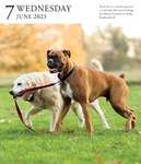 Dog Page-A-Day Gallery Calendar 2023 - £3.99 @ Amazon