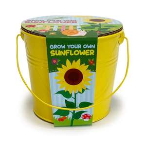 Kids Grow Your Own Sunflowers or Strawberries Kit £2.50 @ Dunelm Free Click & Collect