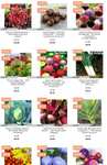 Flower and vegetable seeds from 21p (free delivery for orders over £5)