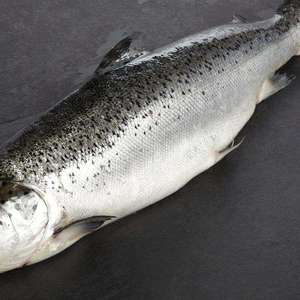 Fresh Whole Salmon (Per Kg + 20% off Fish Fridays)