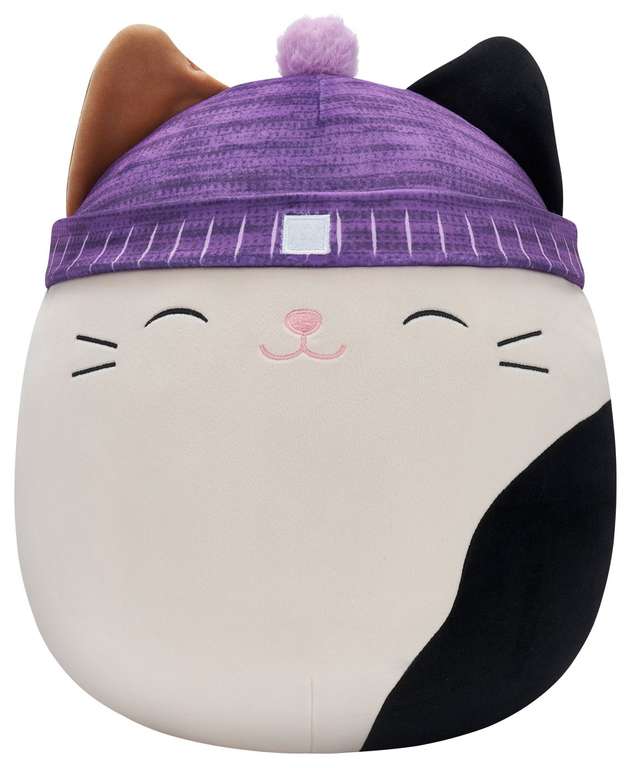 Squishmallows 16 Inch - Cam Calico The Cat, Coleen The Chameleon And More at Bury Mill Gate