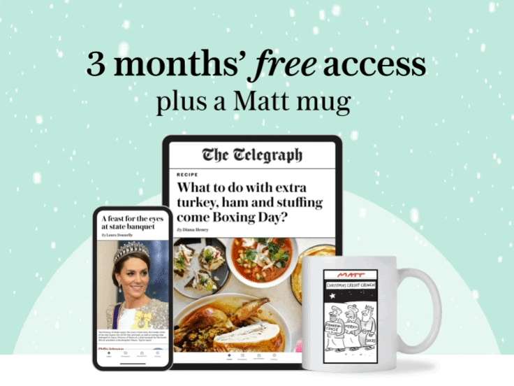 Telegraph Digital Subscription 3 Months Free Free Matt Mug 9 99 For 