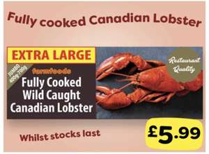 Fully Cooked Wild Caught Canadian Lobster