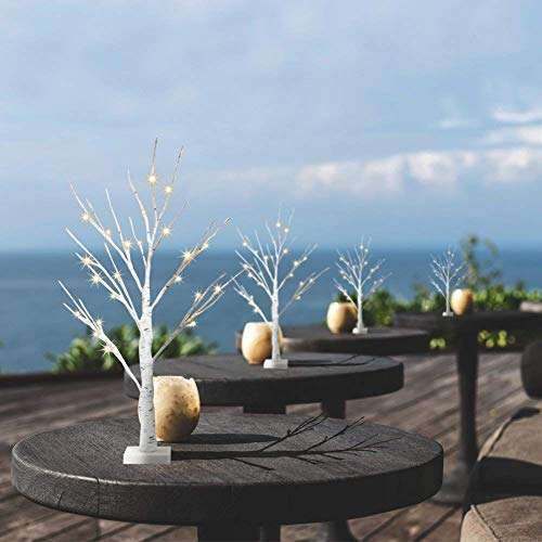 Set of 2 Small Birch Twig Tree Lights Photo Display Tree with 24 Warm White LEDs Battery Operated apply voucher - Dilatto Int FBA