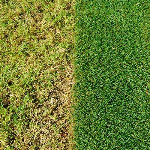 Miracle-Gro Evergreen Complete 4-in-1 Lawn Food , Weed & Moss Control - 7kg 200 m2, £17.20 delivered by Amazon
