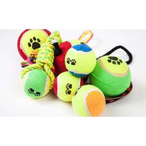 10 x Assorted Mystery Dog Puppy Training Toys for £10 delivered @ Yankee Bundles