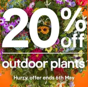 20% Off Plants