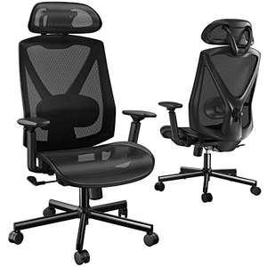 Ergonomic Desk Chair with 2D Adjustable Lumbar Support - w/Voucher, Sold By EU Happy FBA