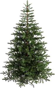 WeRChristmas Nordmann Fir Christmas Tree - 7 feet/2.1 m, Green £55.99 @ Amazon