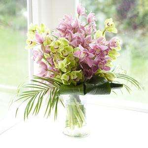 Half Price Orchids + 10% Voucher + 12% Quidco - £19.35 delivered @ Flowers Direct
