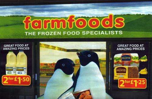 current farmfoods offers