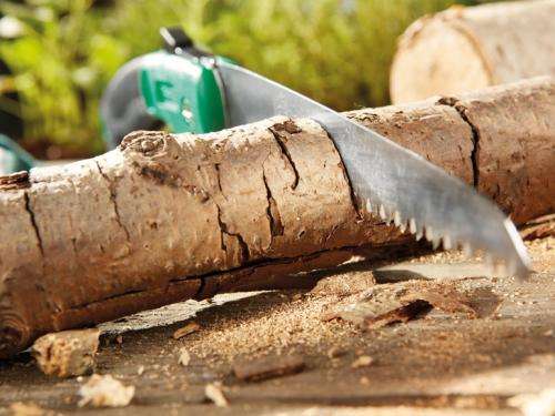Folding Saw - High quality 18cm carbon steel blade with safety lock - £2.99 instore Lidl from Monday 5th August