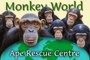 MONKEY WORLD -FREE ENTRY ON HALLOWEEN WHEN DRESSED UP