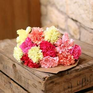 Just Carnations (12 stems) was £16.99 now £8.39 with code & delivered by post @ Flower Fete