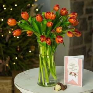 Glistening Tulips Bouquet delivered from 'iflorist' £9.90 with free card &chocolates