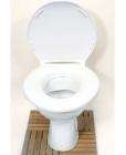 Overweight antibacterial toilet seat. Only £145 with voucher @ houseofbath