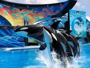 14 Day Combi Ticket For Orlando SeaWorld, Aquatica and Busch Gardens £80, FREE Delivery @ American Attractions.