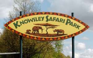 Knowsley Safari Park, HALF PRICE for family of 4 £29 with radiocity-offers