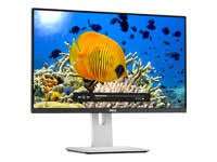 Dell UltraSharp U2414H IPS Monitor £175.00 @ Amazon/NG Solutions (cheapest ever?)