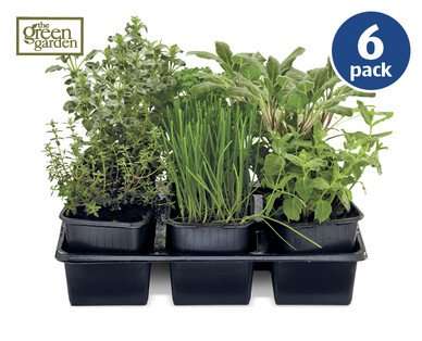 6 herbs for £2.99 from Aldi from Thurs 30/4