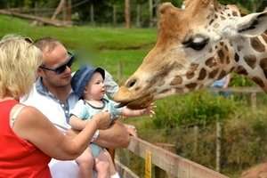 ~Half Term Family Fun~  Half Price Family Ticket South Lakes Safari Zoo Only £15.50 (Was £31) @ Star Radio
