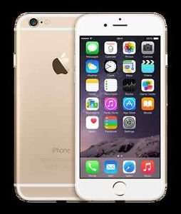Brand New Apple iPhone 6 (Latest Model) - 16 GB - Gold (Unlocked) Smartphone - £449.99 ebay / smartbuydirect2015