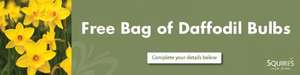 FREE BAG OF DAFFODIL BULBS with voucher at any Squire’s Garden Centre
