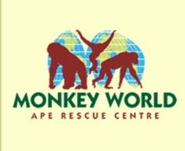 Free Entry on31st October  2015 for All Children in Full Halloween Fancy Dress at Monkey World