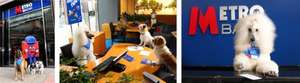 Metro Bank refunds customers when they rehome a dog or a cat from Battersea Dogs and Cats Home. Refunds will be up to a maximum of £65 for cats and £105 for dogs.