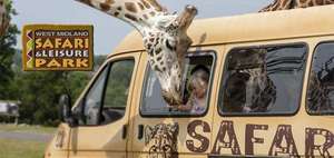 1 night stay + breakfast + late check-out + West Midlands Safari Park tickets from £89 at Travelbird