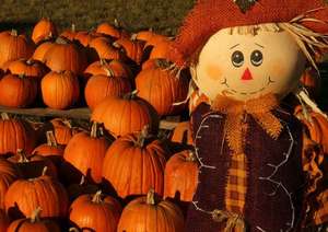 Pumpkin Patch 50% off non sale items and extra 20% off sale Items
