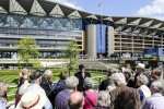 free tickets (up to 4) to Ascot racing November 18th