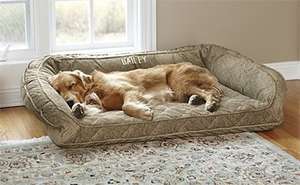 ORVIS 15% OFF MEMORY FOAM DOG BEDS PLUS FREE DELIVERY LIMITED TIME @ Orvis
