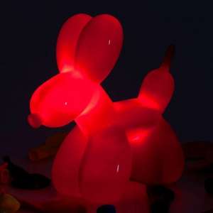 Dog Balloon Light £4.97 @ Red5