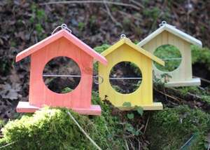 Set of 3 Wooden Bird Feeders - Red/Green/Yellow - (-1p) incl free delivery @ primrose.co.uk