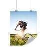 12" x 18" photo poster £0.99 delivered with code SPRING17 @ ALDI Photos