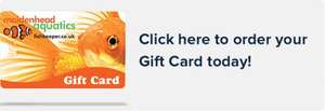 Maidenhead Aquatics - buy a gift card £20-£500 by Father's Day, 10% will be added after Father's Day @ fishkeeper