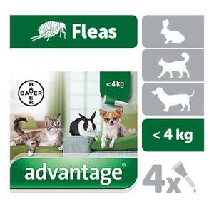 Advantage Spot on Flea Treatment for cats, dogs and rabbits - 3 packs of 4 pipettes each from £27.03 delivered. Dogs and others also available @ Petdrugstore