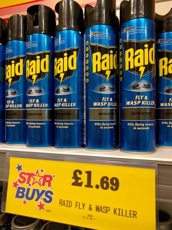 Raid - Fly & Wasp Killer (300ml) for £1.69 @ home bargains