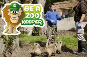 Be a Zookeeper for the day at Flamingo Land - Half Price (xmas gift?)