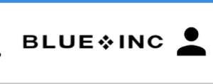 30% off everything @ Blue Inc