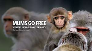 Mums Go Free to Longleat on 10th / 11th March (With full paying Adult or Child) - Book Online ( also Cheddar Gorge / Caves )