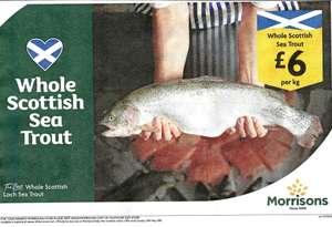 Whole Fresh Scottish Loch Sea Trout £6/k - MORRISONS - Avg £21 per fish - Instore Only